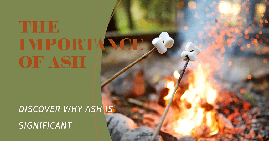 #Do You Know? The Meaning of Ash Wednesday Ashes Unveiling the Importance of Ash on Ash Wednesday,#Do You Know? The Significance of Sacred Ash (Vibhuti) Unveiling the Power of Ash (Vibhuti) in Hinduism,#Do You Know? Why Ash Content Matters in Briquettes,#Unlocking the Secret to a Great Smoke (for hookah or grilling)